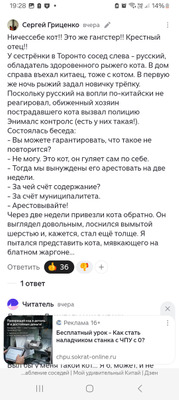 Комментарий с изображением на AdMe.Media