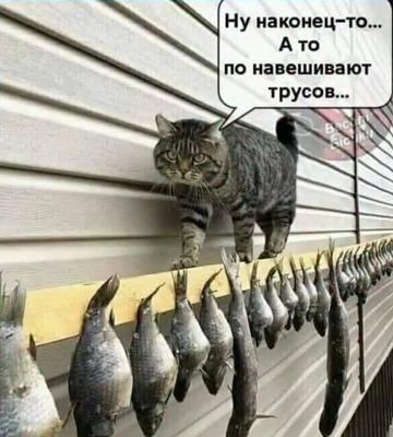 Комментарий с изображением на AdMe.Media