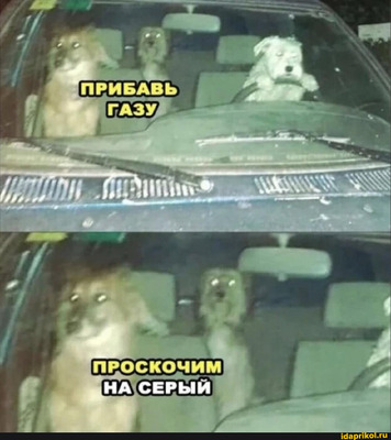 Комментарий с изображением на AdMe.Media
