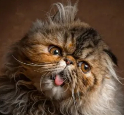 Комментарий с изображением на AdMe.Media