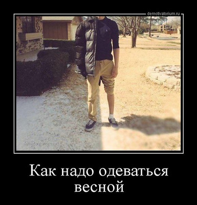 Комментарий с изображением на AdMe.Media