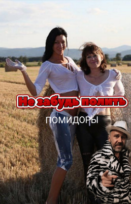 Комментарий с изображением на AdMe.Media