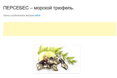 Комментарий с изображением на AdMe.Media