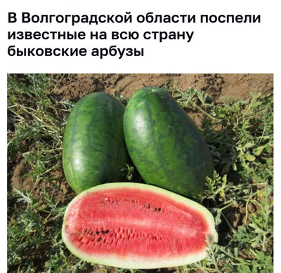 Комментарий с изображением на AdMe.Media