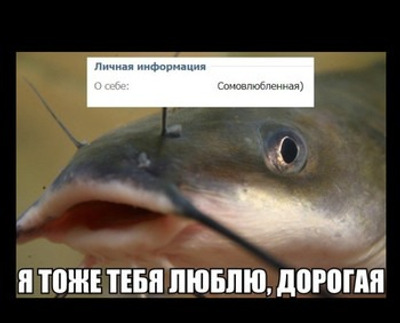 Комментарий с изображением на AdMe.Media