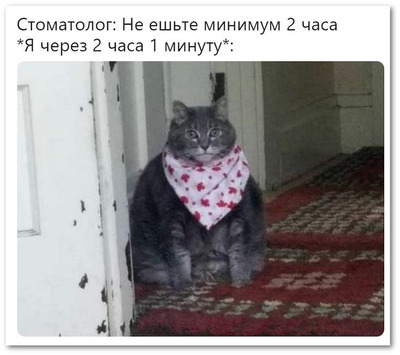 Комментарий с изображением на AdMe.Media