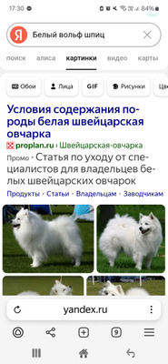 Комментарий с изображением на AdMe.Media