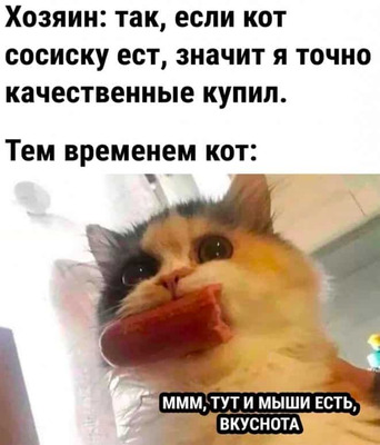 Комментарий с изображением на AdMe.Media