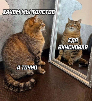 Комментарий с изображением на AdMe.Media