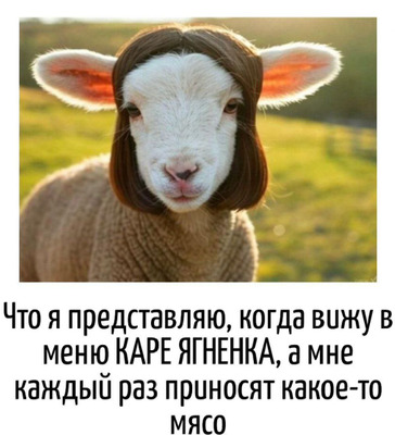 Комментарий с изображением на AdMe.Media