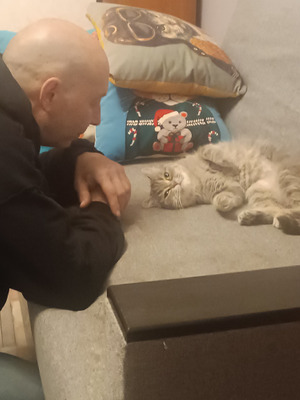 Комментарий с изображением на AdMe.Media