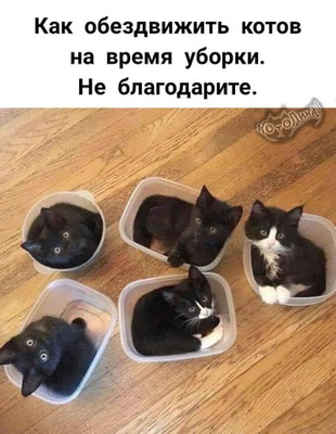 Комментарий с изображением на AdMe.Media