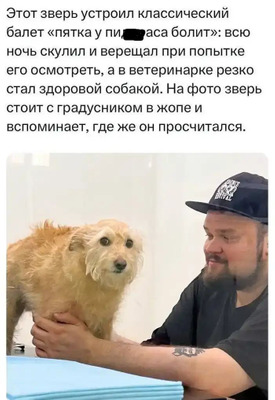 Комментарий с изображением на AdMe.Media