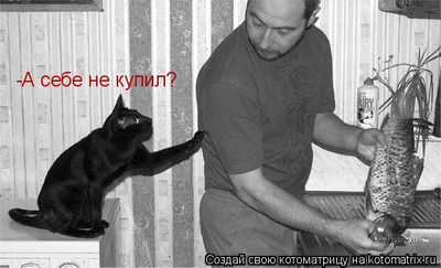 Комментарий с изображением на AdMe.Media