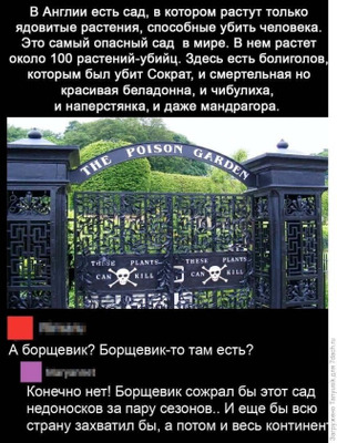 Комментарий с изображением на AdMe.Media