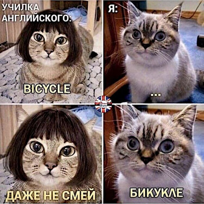 Комментарий с изображением на AdMe.Media