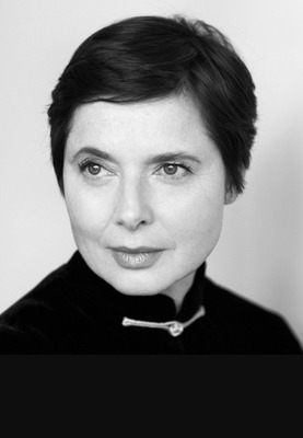 Комментарий с изображением на AdMe.Media