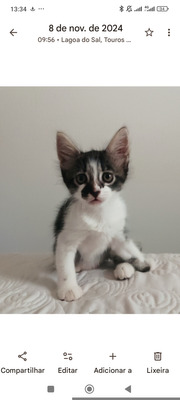 Комментарий с изображением на AdMe.Media