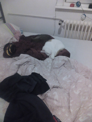 Комментарий с изображением на AdMe.Media