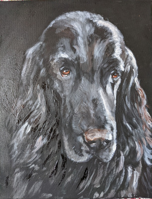 Комментарий с изображением на AdMe.Media