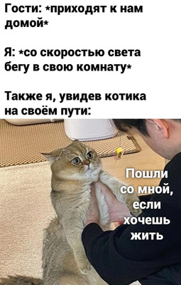 Комментарий с изображением на AdMe.Media
