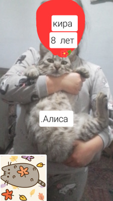 Комментарий с изображением на AdMe.Media