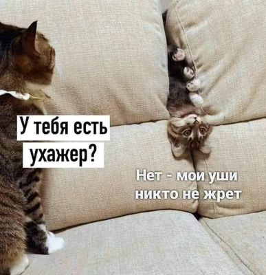 Комментарий с изображением на AdMe.Media