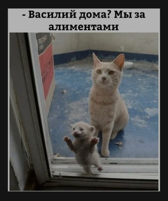 Комментарий с изображением на AdMe.Media