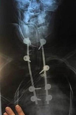 Комментарий с изображением на AdMe.Media