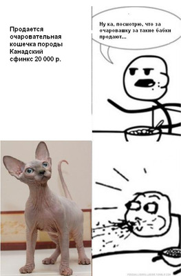 Комментарий с изображением на AdMe.Media