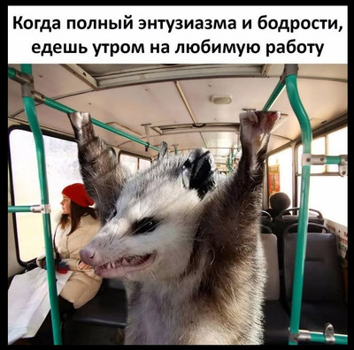 Комментарий с изображением на AdMe.Media