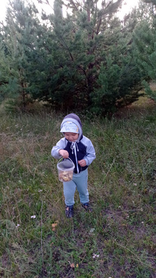 Комментарий с изображением на AdMe.Media