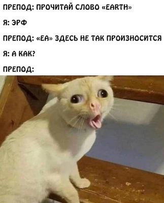 Комментарий с изображением на AdMe.Media