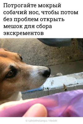 Комментарий с изображением на AdMe.Media