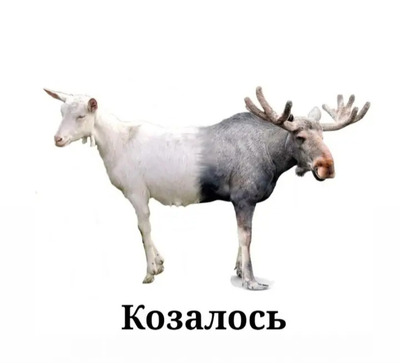 Комментарий с изображением на AdMe.Media