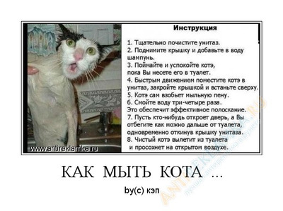 Комментарий с изображением на AdMe.Media