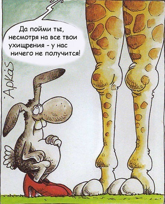Комментарий с изображением на AdMe.Media