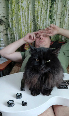 Комментарий с изображением на AdMe.Media