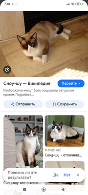 Комментарий с изображением на AdMe.Media