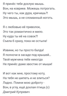 Комментарий с изображением на AdMe.Media