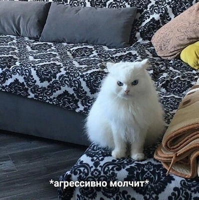 Комментарий с изображением на AdMe.Media