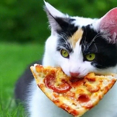 Комментарий с изображением на AdMe.Media