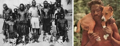 Комментарий с изображением на AdMe.Media