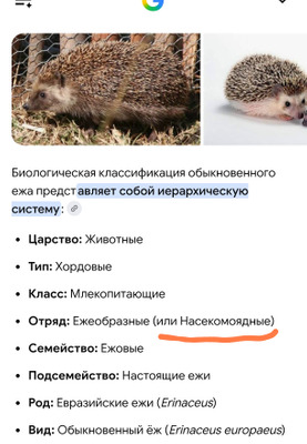 Комментарий с изображением на AdMe.Media