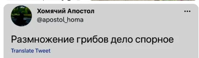 Комментарий с изображением на AdMe.Media