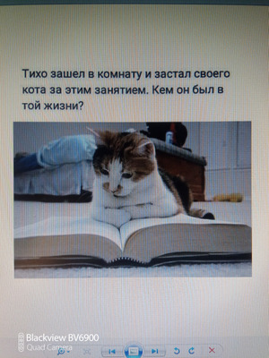 Комментарий с изображением на AdMe.Media