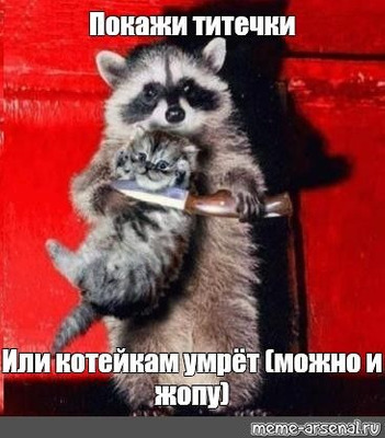 Комментарий с изображением на AdMe.Media