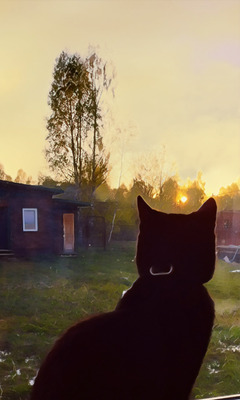 Комментарий с изображением на AdMe.Media