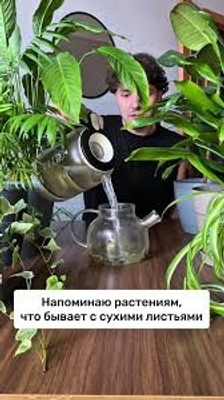 Комментарий с изображением на AdMe.Media
