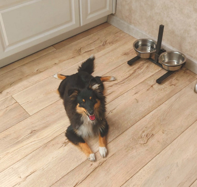 Комментарий с изображением на AdMe.Media